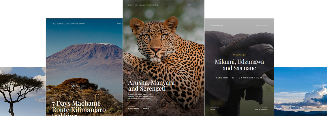 Collage of safari itinerary template previews